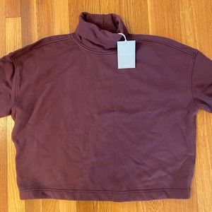 Everlane Turtleneck Sweatshirt